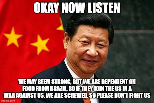 Brazil is the equivalent of Sweden to the Nazi's who needed their Iron Ore, except Brazil won't be neutral in a WW3 | OKAY NOW LISTEN; WE MAY SEEM STRONG, BUT WE ARE DEPENDENT ON FOOD FROM BRAZIL, SO IF THEY JOIN THE US IN A WAR AGAINST US, WE ARE SCREWED, SO PLEASE DON'T FIGHT US | image tagged in xi jinping,war,dictator,china | made w/ Imgflip meme maker