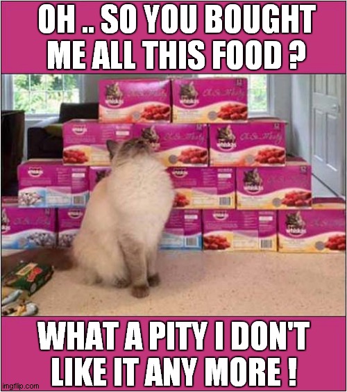 Does This Sound Familiar ? | OH .. SO YOU BOUGHT ME ALL THIS FOOD ? WHAT A PITY I DON'T
LIKE IT ANY MORE ! | image tagged in cats,food,distain | made w/ Imgflip meme maker