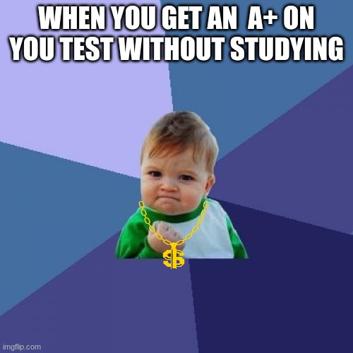 Success Kid | WHEN YOU GET AN  A+ ON YOU TEST WITHOUT STUDYING | image tagged in memes,success kid,test | made w/ Imgflip meme maker