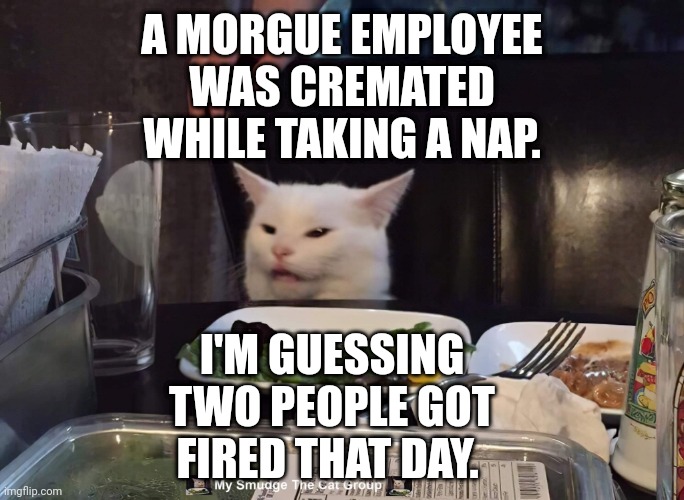 A MORGUE EMPLOYEE WAS CREMATED WHILE TAKING A NAP. I'M GUESSING TWO PEOPLE GOT FIRED THAT DAY. | image tagged in smudge the cat | made w/ Imgflip meme maker