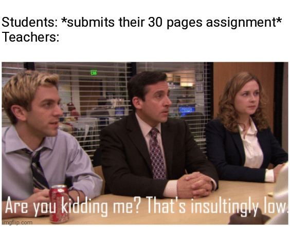 Why do the do this? |  Students: *submits their 30 pages assignment*
Teachers: | image tagged in insultingly low,why,i hate school | made w/ Imgflip meme maker