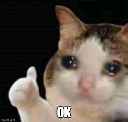 sad thumbs up cat | OK | image tagged in sad thumbs up cat | made w/ Imgflip meme maker