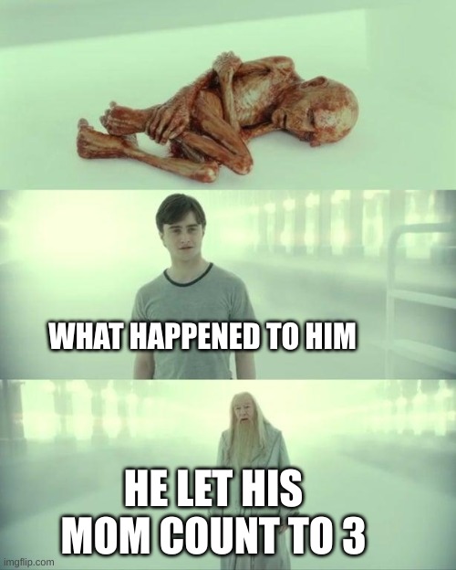 Dead Baby Voldemort / What Happened To Him | WHAT HAPPENED TO HIM; HE LET HIS MOM COUNT TO 3 | image tagged in dead baby voldemort / what happened to him | made w/ Imgflip meme maker