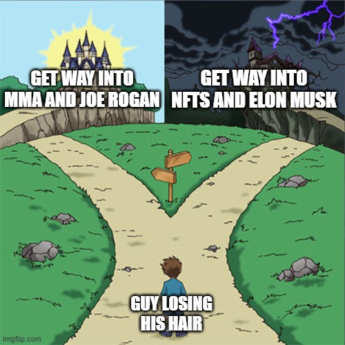 Two Paths | GET WAY INTO NFTS AND ELON MUSK; GET WAY INTO MMA AND JOE ROGAN; GUY LOSING HIS HAIR | image tagged in two paths | made w/ Imgflip meme maker