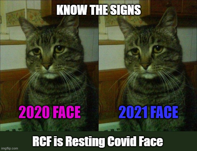 Tell your doctor before taking Neunormaltrin | KNOW THE SIGNS; 2020 FACE; 2021 FACE; RCF is Resting Covid Face | image tagged in memes,depressed cat,covid,resting face | made w/ Imgflip meme maker