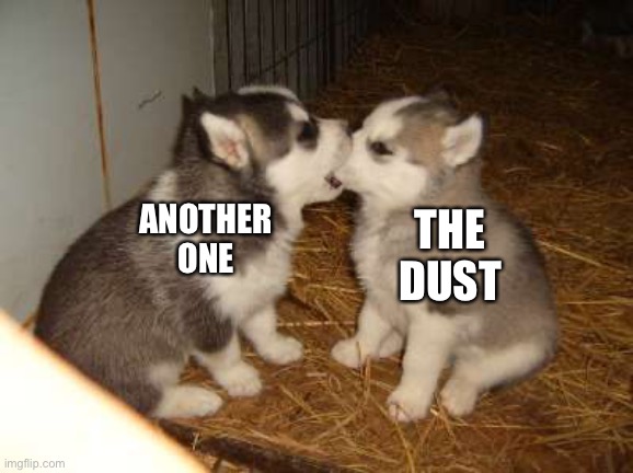 Another one bites the dust | THE DUST; ANOTHER ONE | image tagged in memes,cute puppies,another one bites the dust | made w/ Imgflip meme maker