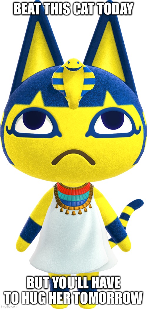 BEAT THIS CAT TODAY; BUT YOU’LL HAVE TO HUG HER TOMORROW | made w/ Imgflip meme maker
