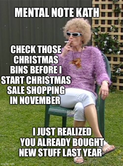 Check those Christmas bins | CHECK THOSE CHRISTMAS BINS BEFORE I START CHRISTMAS SALE SHOPPING IN NOVEMBER; MENTAL NOTE KATH; I JUST REALIZED YOU ALREADY BOUGHT NEW STUFF LAST YEAR | image tagged in christmas | made w/ Imgflip meme maker