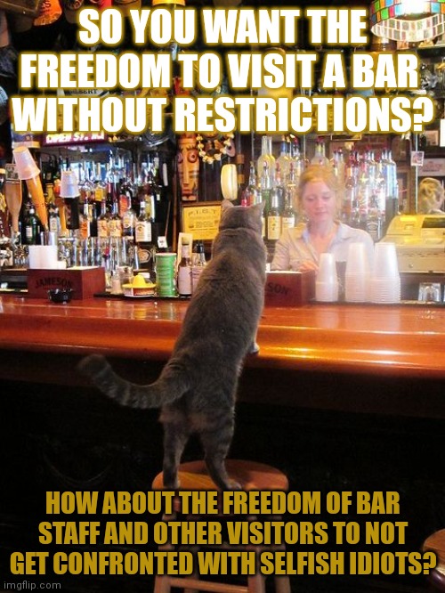 This #lolcat wonders if some really want 'freedom for all!' or just for themselves. | SO YOU WANT THE FREEDOM TO VISIT A BAR 
WITHOUT RESTRICTIONS? HOW ABOUT THE FREEDOM OF BAR STAFF AND OTHER VISITORS TO NOT GET CONFRONTED WITH SELFISH IDIOTS? | image tagged in selfishness,lolcat,lockdown,bar,freedom | made w/ Imgflip meme maker