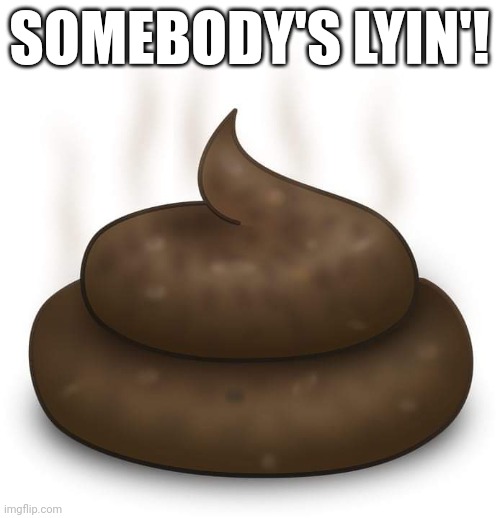Somebody's lyin'! | SOMEBODY'S LYIN'! | image tagged in lying,smell,bullshit,politicians | made w/ Imgflip meme maker