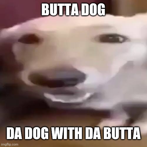butter dog dog with the butter butter dog with the butter dog butter dog dog  with the butter butter dog dog with the butter - Imgflip