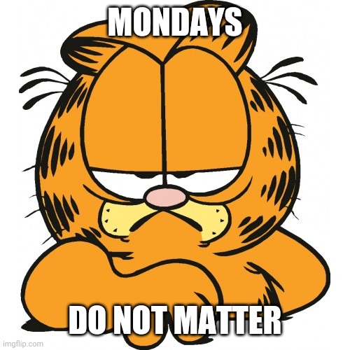 Garfield | MONDAYS DO NOT MATTER | image tagged in garfield | made w/ Imgflip meme maker