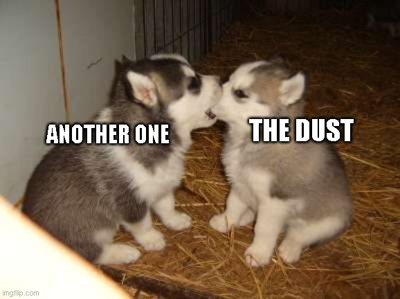 Cute Puppies Meme | THE DUST; ANOTHER ONE | image tagged in memes,cute puppies | made w/ Imgflip meme maker