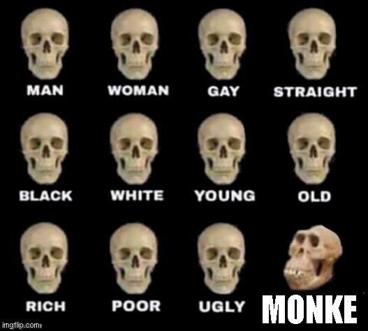 hehe monke | MONKE | image tagged in idiot skull | made w/ Imgflip meme maker