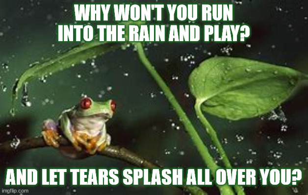 DMB #41 | WHY WON'T YOU RUN
INTO THE RAIN AND PLAY? AND LET TEARS SPLASH ALL OVER YOU? | image tagged in dmb,dave matthews band,rain,frog,tears,play | made w/ Imgflip meme maker