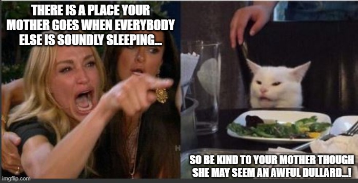 woman yelling at cat without white top | THERE IS A PLACE YOUR MOTHER GOES WHEN EVERYBODY ELSE IS SOUNDLY SLEEPING... SO BE KIND TO YOUR MOTHER THOUGH SHE MAY SEEM AN AWFUL DULLARD...! | image tagged in woman yelling at cat without white top | made w/ Imgflip meme maker