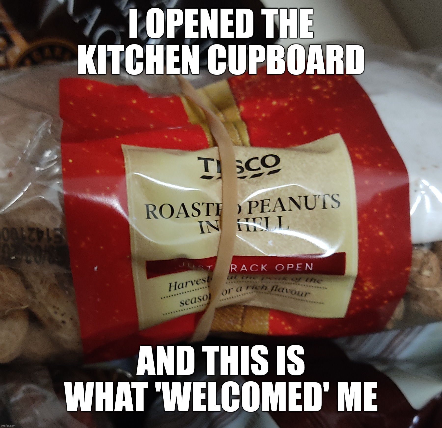 Roast peanuts IN HELL | I OPENED THE KITCHEN CUPBOARD; AND THIS IS WHAT 'WELCOMED' ME | image tagged in perfectly timed photo | made w/ Imgflip meme maker