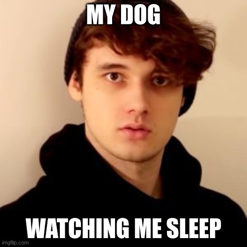 My dog watching me sleep | MY DOG; WATCHING ME SLEEP | image tagged in wilbur,mcyt,dream smp | made w/ Imgflip meme maker