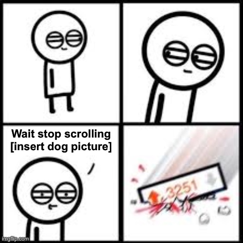 Fun stream man. | Wait stop scrolling [insert dog picture] | image tagged in upvotes boom | made w/ Imgflip meme maker