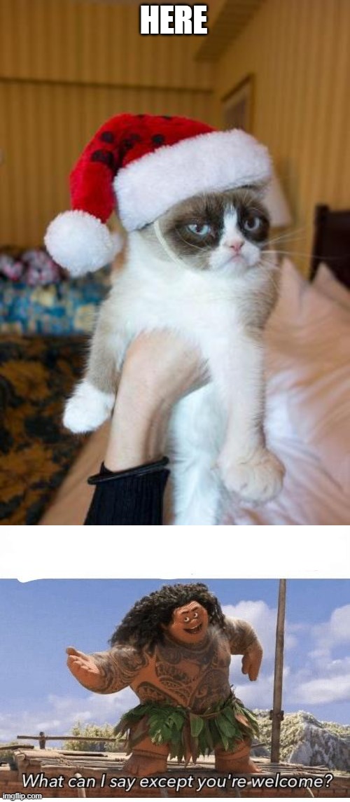 HERE | image tagged in memes,grumpy cat christmas,youre welcome | made w/ Imgflip meme maker