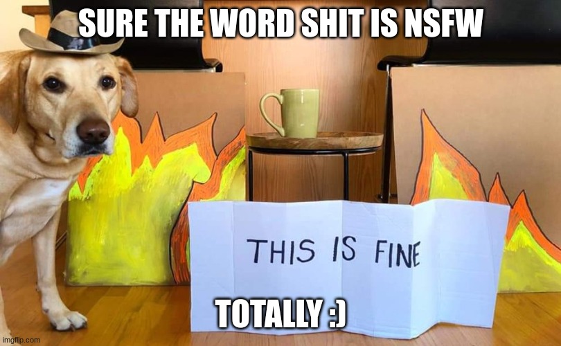 SURE THE WORD SHIT IS NSFW TOTALLY :) | made w/ Imgflip meme maker