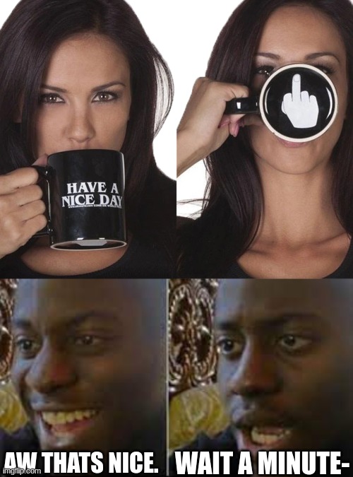 perfect christmas gift, eh? | WAIT A MINUTE-; AW THATS NICE. | image tagged in memes,mug,have a nice day,middle finger,disappointed black guy | made w/ Imgflip meme maker