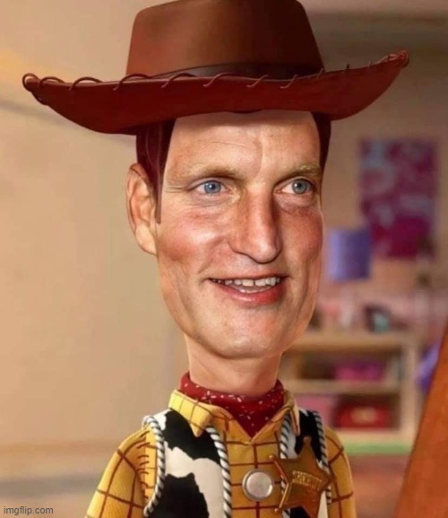It's Woody. | image tagged in toy story | made w/ Imgflip meme maker