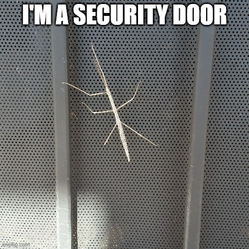 Me again | I'M A SECURITY DOOR | image tagged in stick | made w/ Imgflip meme maker