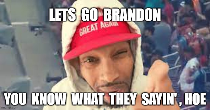 LETS  GO  BRANDON; YOU  KNOW  WHAT  THEY  SAYIN' , HOE | image tagged in lets go brandon,loza alexander | made w/ Imgflip meme maker