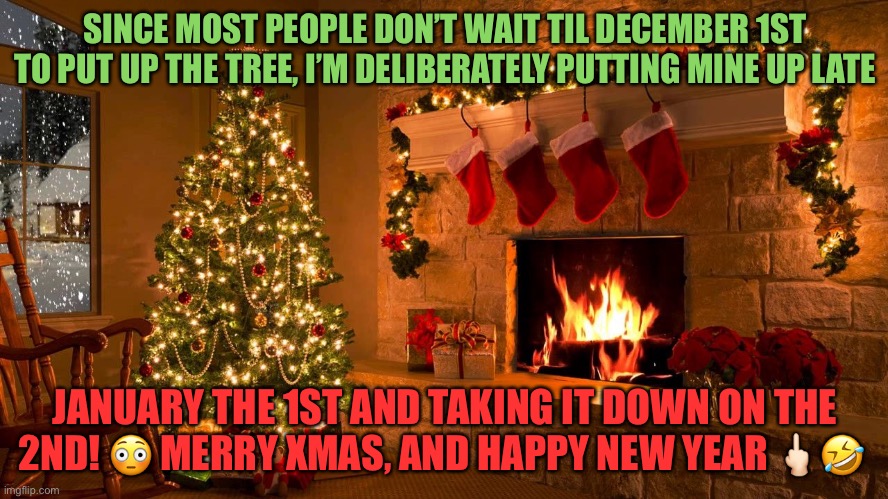 When do you put up the tree? | SINCE MOST PEOPLE DON’T WAIT TIL DECEMBER 1ST TO PUT UP THE TREE, I’M DELIBERATELY PUTTING MINE UP LATE; JANUARY THE 1ST AND TAKING IT DOWN ON THE 2ND! 😳 MERRY XMAS, AND HAPPY NEW YEAR 🖕🏻🤣 | image tagged in christmas,christmas tree,early,funny memes,sarcasm | made w/ Imgflip meme maker