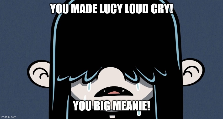 Lucy Loud crying | YOU MADE LUCY LOUD CRY! YOU BIG MEANIE! | image tagged in lucy loud crying,memes,lucy loud | made w/ Imgflip meme maker