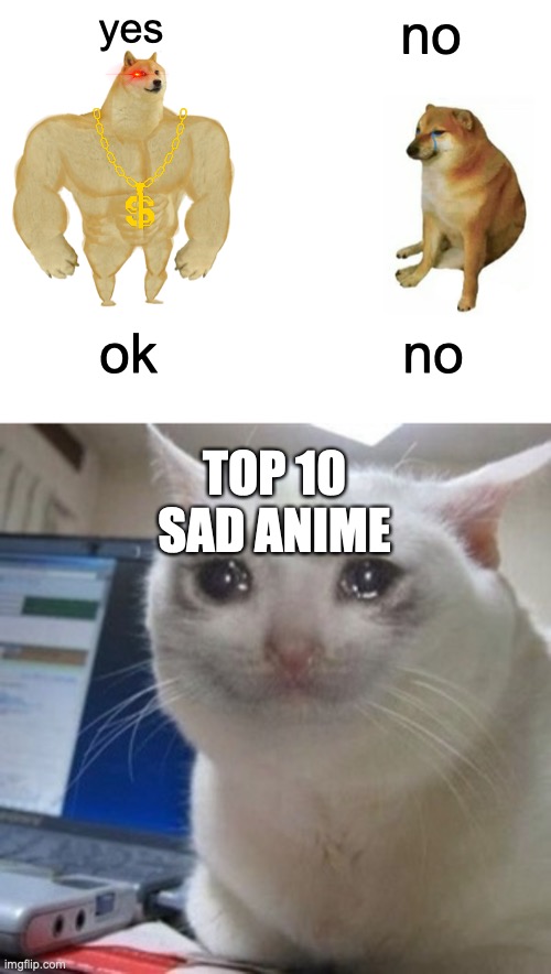 sad): | yes; no; ok; no; TOP 10 SAD ANIME | image tagged in memes,buff doge vs cheems,crying cat | made w/ Imgflip meme maker