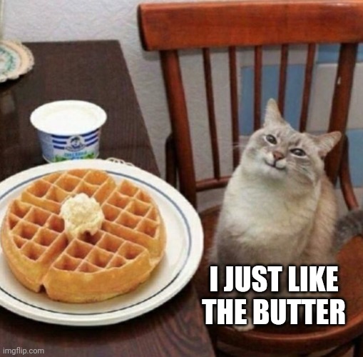 Cat likes their waffle |  I JUST LIKE THE BUTTER | image tagged in cat likes their waffle | made w/ Imgflip meme maker