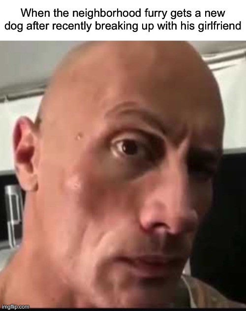 somebody’s going to die tonight | When the neighborhood furry gets a new dog after recently breaking up with his girlfriend | image tagged in dwayne johnson eyebrow raise,funny | made w/ Imgflip meme maker