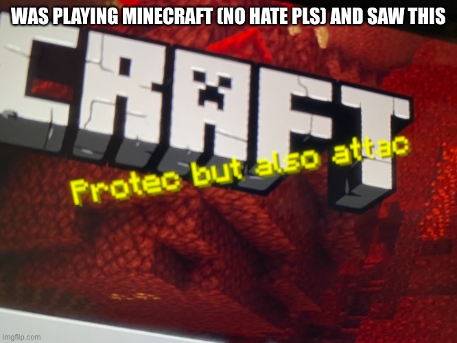 Minecraft protec | WAS PLAYING MINECRAFT (NO HATE PLS) AND SAW THIS | image tagged in mincraft | made w/ Imgflip meme maker