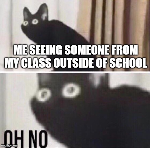 no... no! NO! NO! | ME SEEING SOMEONE FROM MY CLASS OUTSIDE OF SCHOOL | image tagged in oh no cat,school,introvert,introverts,class,people | made w/ Imgflip meme maker