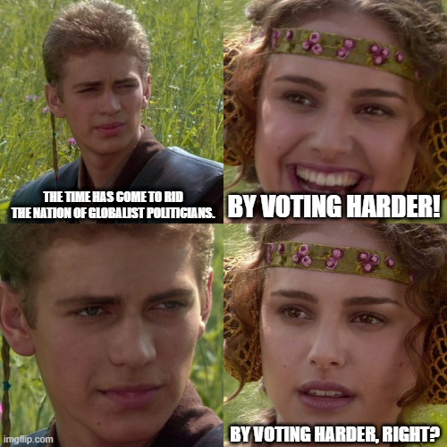 Vote Harder | THE TIME HAS COME TO RID THE NATION OF GLOBALIST POLITICIANS. BY VOTING HARDER! BY VOTING HARDER, RIGHT? | image tagged in anakin padme 4 panel | made w/ Imgflip meme maker