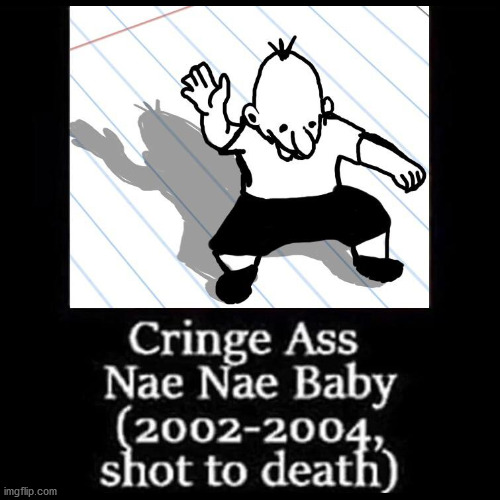 i reposted a meme i found on r/fuckmanny | image tagged in cringe,ass,whip nae nae,baby,diary of a wimpy kid | made w/ Imgflip meme maker