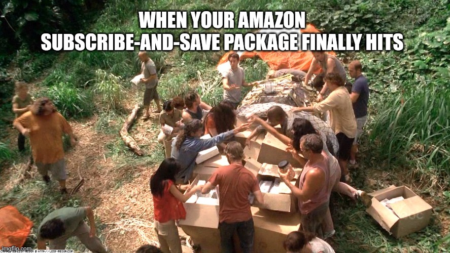 When your Amazon subscribe-and-save package finally hits | WHEN YOUR AMAZON SUBSCRIBE-AND-SAVE PACKAGE FINALLY HITS | image tagged in lost,amazon,2021,ups,fedex,usps | made w/ Imgflip meme maker