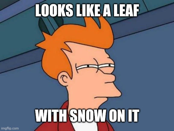 Futurama Fry Meme | LOOKS LIKE A LEAF WITH SNOW ON IT | image tagged in memes,futurama fry | made w/ Imgflip meme maker