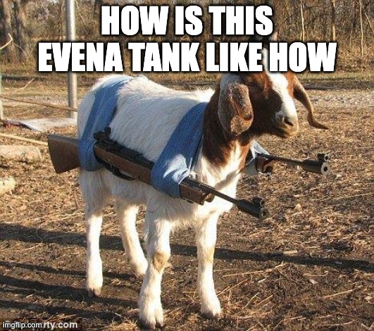 Goat Tank | HOW IS THIS EVENA TANK LIKE HOW | image tagged in goat tank | made w/ Imgflip meme maker