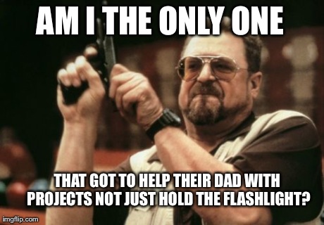 Am I The Only One Around Here Meme | AM I THE ONLY ONE THAT GOT TO HELP THEIR DAD WITH PROJECTS NOT JUST HOLD THE FLASHLIGHT? | image tagged in memes,am i the only one around here,AdviceAnimals | made w/ Imgflip meme maker