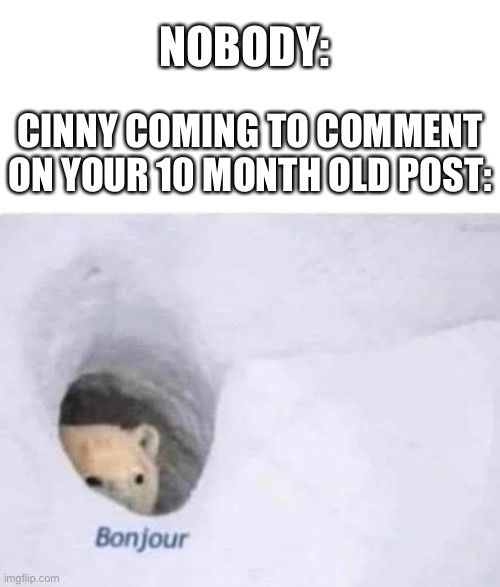Or reply to your 10 month old comment | NOBODY:; CINNY COMING TO COMMENT ON YOUR 10 MONTH OLD POST: | image tagged in bonjour | made w/ Imgflip meme maker