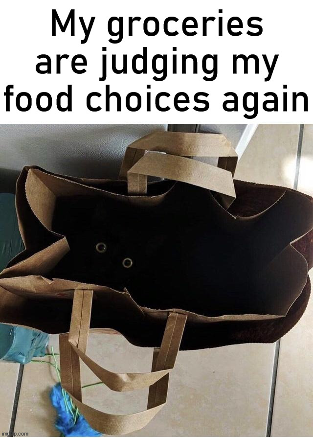 Maybe I should maybe buy a vegatable once in a while? | My groceries are judging my food choices again | image tagged in judging you,groceries,food,choices | made w/ Imgflip meme maker