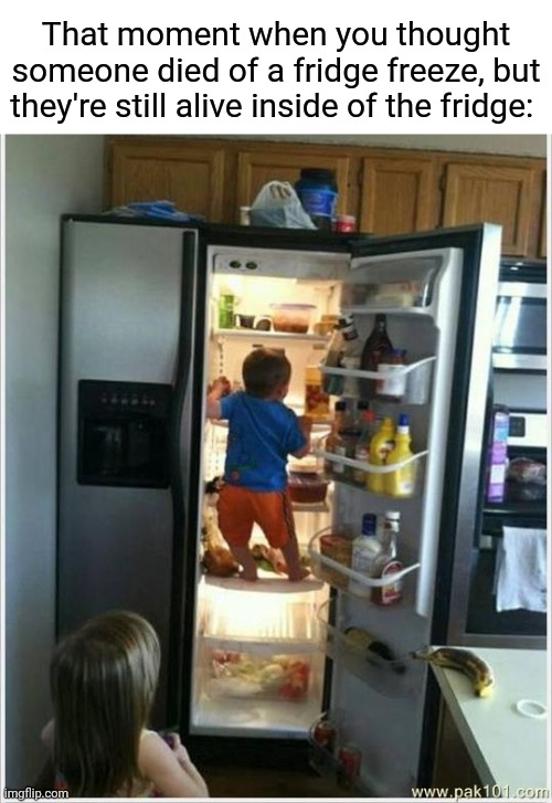 Human alive inside of the freezer | That moment when you thought someone died of a fridge freeze, but they're still alive inside of the fridge: | image tagged in baby getting food from fridge,fridge,memes,meme,refrigerator,dark humor | made w/ Imgflip meme maker