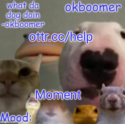 Okboomer template v4 (credit to yeetrex) | ottr.cc/help; Moment | image tagged in okboomer template v4 credit to yeetrex | made w/ Imgflip meme maker