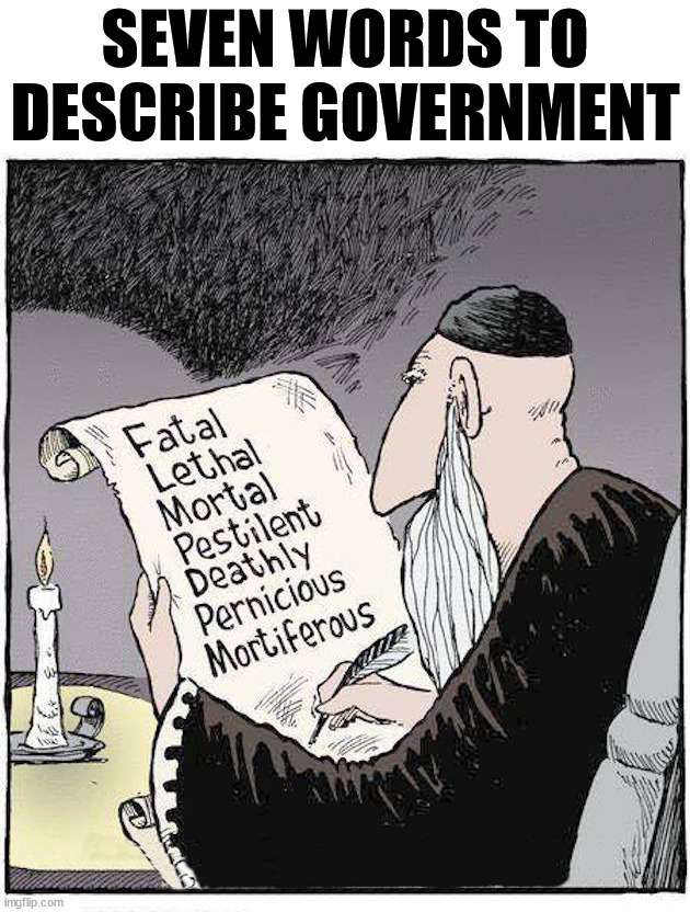 Sums it up nicely. | SEVEN WORDS TO DESCRIBE GOVERNMENT | image tagged in political meme,description | made w/ Imgflip meme maker