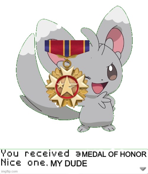 You received an idiot card! | MEDAL OF HONOR; MY DUDE | image tagged in you received an idiot card | made w/ Imgflip meme maker
