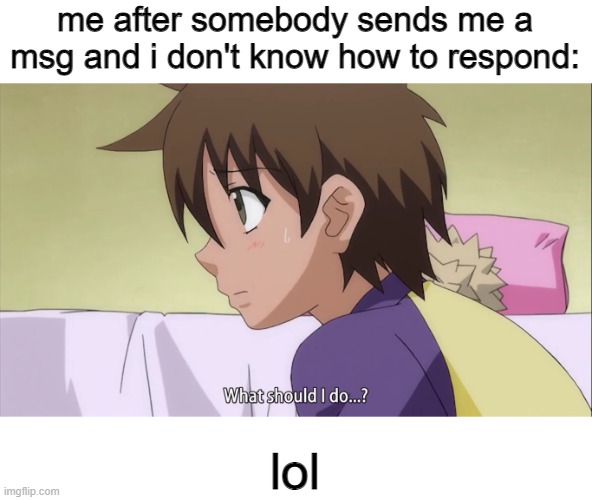 lol to everything |  me after somebody sends me a msg and i don't know how to respond:; lol | image tagged in what should i do | made w/ Imgflip meme maker