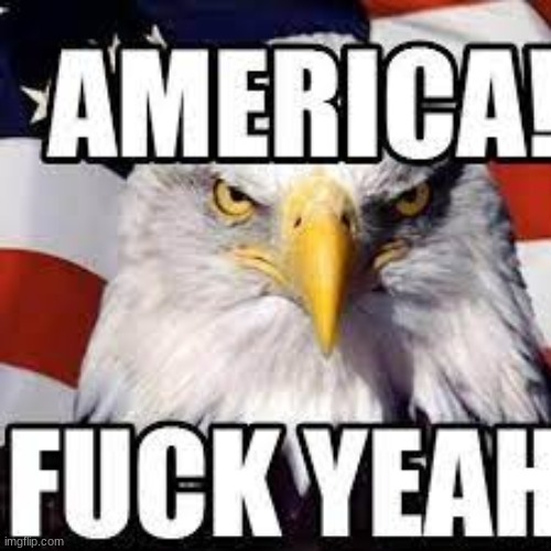 AMERICA FCK YEA | image tagged in america fck yea | made w/ Imgflip meme maker